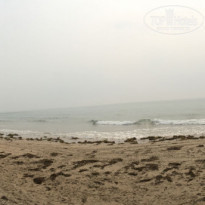 фото из отзыва ID 1368321