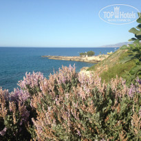 фото из отзыва ID 1366329