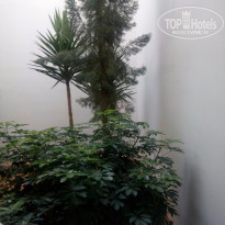 фото из отзыва ID 1368365