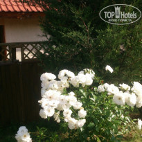 фото из отзыва ID 1368436