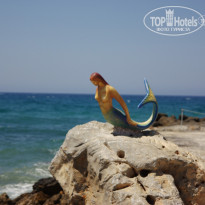 фото из отзыва ID 1368483