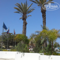 фото из отзыва ID 1368624