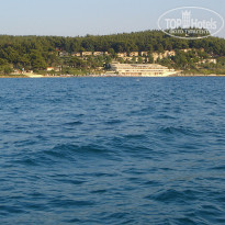 фото из отзыва ID 1368627