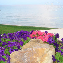 фото из отзыва ID 1368627