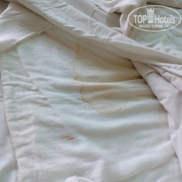 фото из отзыва ID 1368502