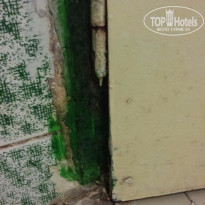 фото из отзыва ID 1368907