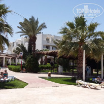 фото из отзыва ID 1368981