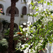 фото из отзыва ID 1368981