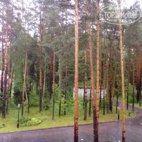 фото из отзыва ID 1369000