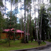 фото из отзыва ID 1369000