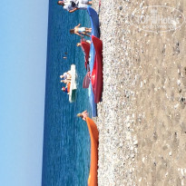 фото из отзыва ID 1369021