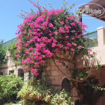 фото из отзыва ID 1369412