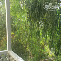 фото из отзыва ID 1369412