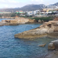 фото из отзыва ID 1369412