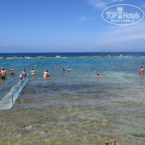 фото из отзыва ID 1369521