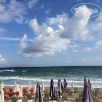 фото из отзыва ID 1369729