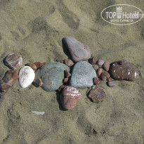 фото из отзыва ID 1369481