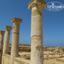 фото из отзыва ID 1369481