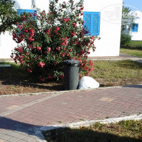 фото из отзыва ID 1369778