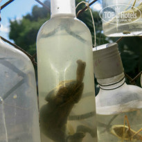 фото из отзыва ID 1369481