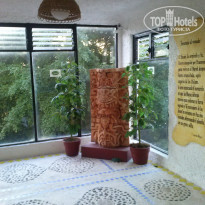 фото из отзыва ID 1369848