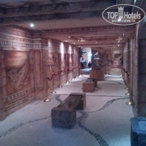 фото из отзыва ID 1369848