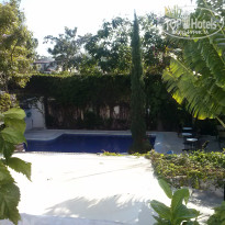 фото из отзыва ID 1369848