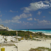 фото из отзыва ID 1369848