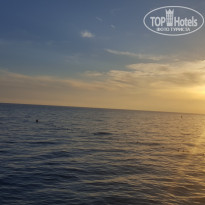 фото из отзыва ID 1369856