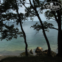 фото из отзыва ID 1369899