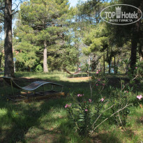 фото из отзыва ID 1369899