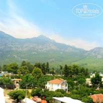 фото из отзыва ID 1368364