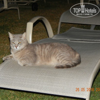 фото из отзыва ID 1368370