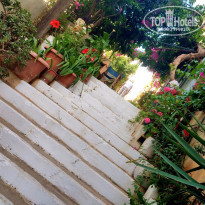 фото из отзыва ID 1366658