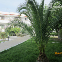 фото из отзыва ID 1369244