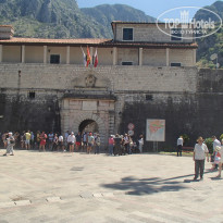 фото из отзыва ID 1366611