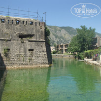 фото из отзыва ID 1366611