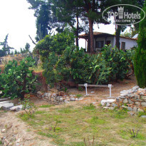 фото из отзыва ID 1366105