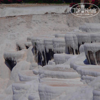 фото из отзыва ID 1366105