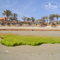 фото из отзыва ID 1363487