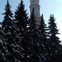 фото из отзыва ID 1368902