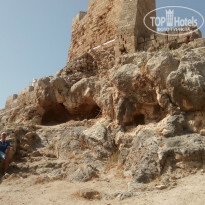 фото из отзыва ID 1366501