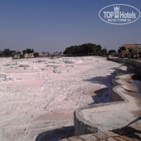 фото из отзыва ID 1366105