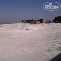 фото из отзыва ID 1366105