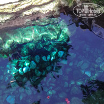 фото из отзыва ID 1366105