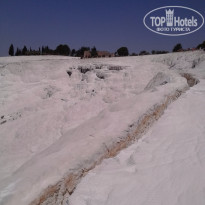 фото из отзыва ID 1366105