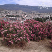 фото из отзыва ID 1366105