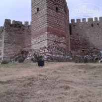 фото из отзыва ID 1366105