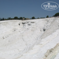 фото из отзыва ID 1366105