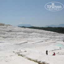 фото из отзыва ID 1366105